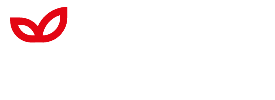 мебель дизайн